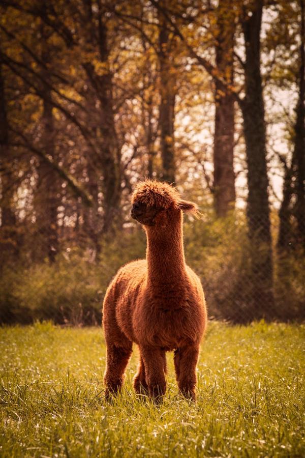 Vila De Betze - Country Life Geetbets Exteriér fotografie