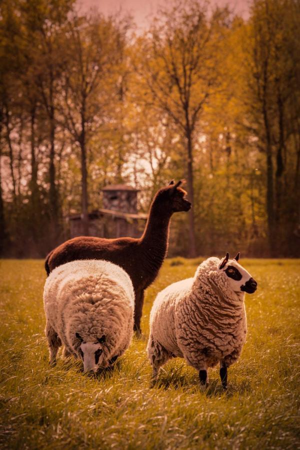 Vila De Betze - Country Life Geetbets Exteriér fotografie